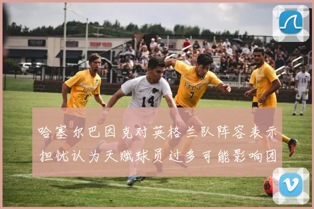哈塞尔巴因克对英格兰队阵容表示担忧认为天赋球员过多可能影响团队合作